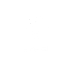 Hi Voyager Travel Design